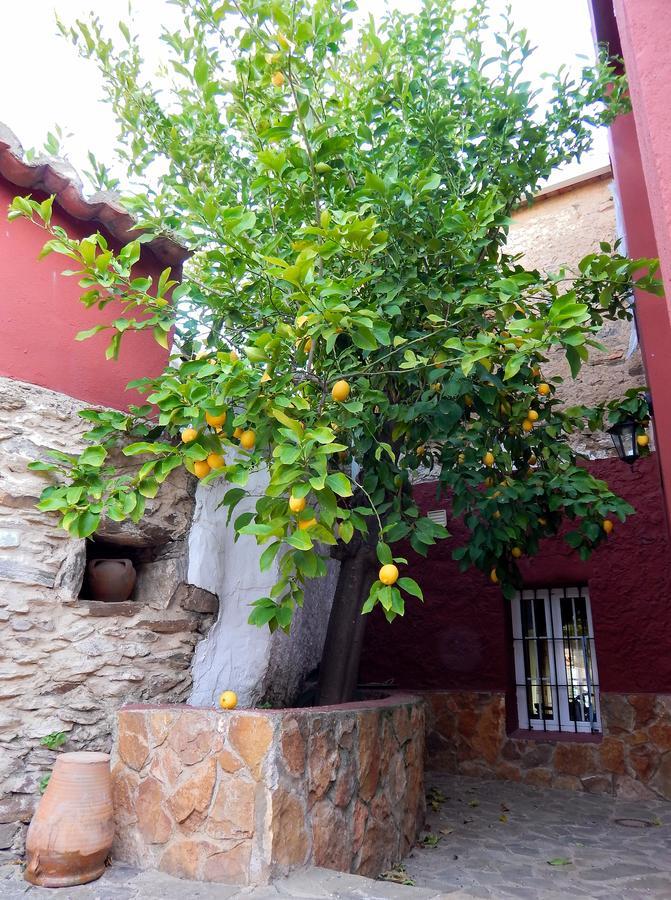 Casa Rural La Perra Gorda Zorita  Exterior foto